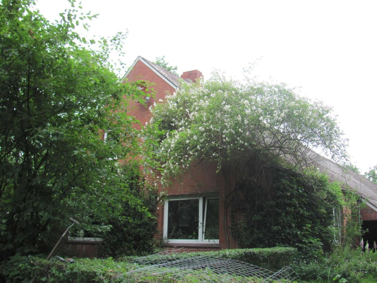 Gaestezimmer Im Engelshof, 61224 Moormerland Ngoại thất bức ảnh