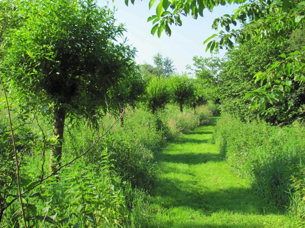 Gaestezimmer Im Engelshof, 61224 Moormerland Ngoại thất bức ảnh